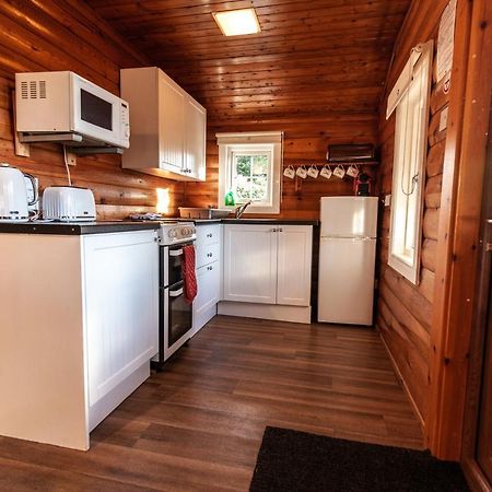3 Bedroom Log Cabin In Snowdonia Nr Mtb Trails Tanygrisiau Екстер'єр фото