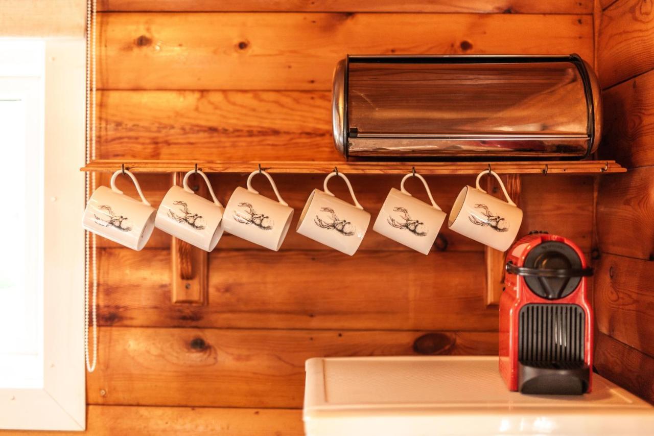 3 Bedroom Log Cabin In Snowdonia Nr Mtb Trails Tanygrisiau Екстер'єр фото