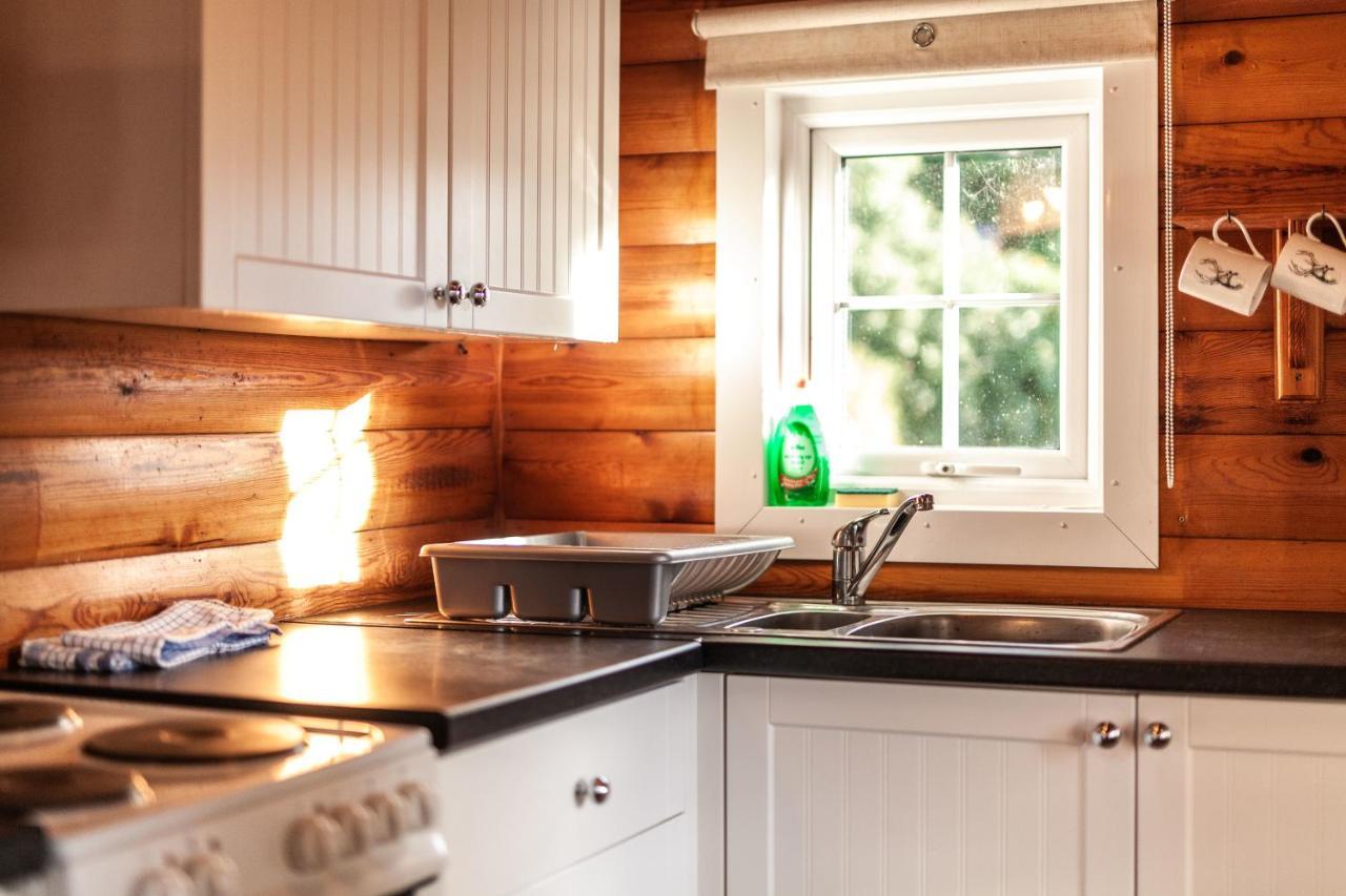 3 Bedroom Log Cabin In Snowdonia Nr Mtb Trails Tanygrisiau Екстер'єр фото