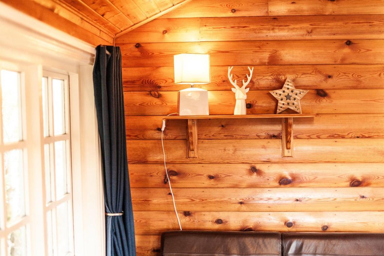 3 Bedroom Log Cabin In Snowdonia Nr Mtb Trails Tanygrisiau Екстер'єр фото